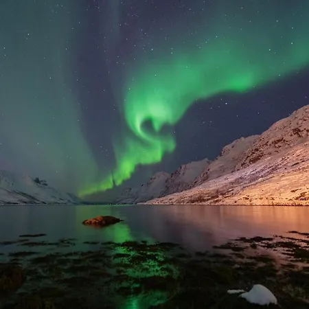 And Comfortable In - Free Parking Included Tromsø